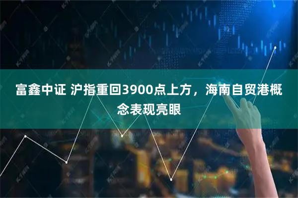 富鑫中证 沪指重回3900点上方，海南自贸港概念表现亮眼