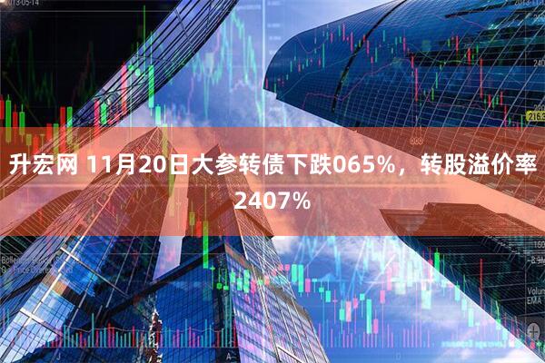 升宏网 11月20日大参转债下跌065%，转股溢价率2407%