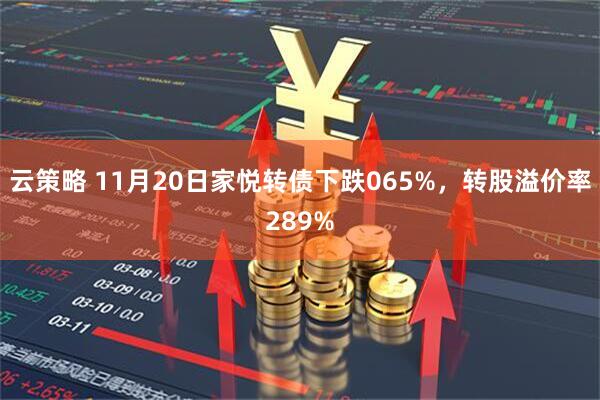 云策略 11月20日家悦转债下跌065%，转股溢价率289%