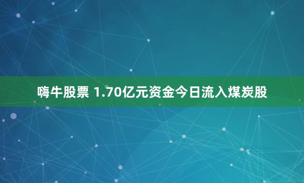 嗨牛股票 1.70亿元资金今日流入煤炭股